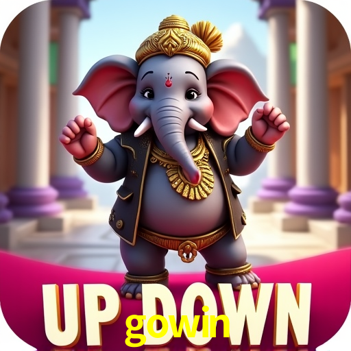 Interface Premium gowin